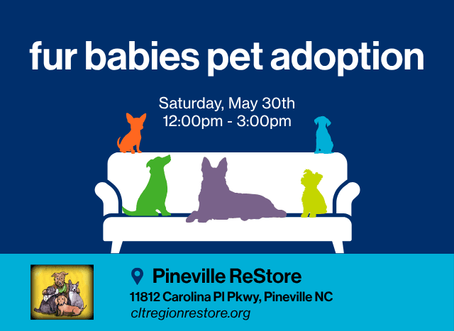 fur babies pet adoption