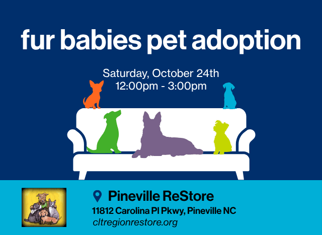 fur babies pet adoption October 24, 2026